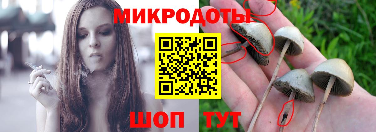 Галлюциногенные грибы Magic Shrooms Кирово-Чепецк